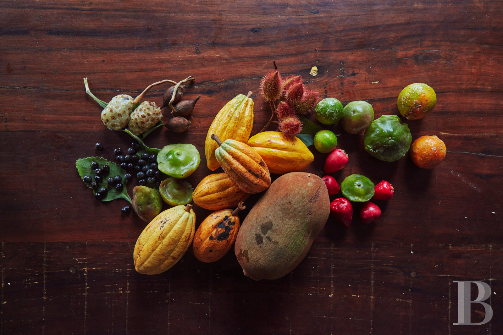 A colonial-inspired house surrounded by nature in Picinguaba, on the Brazilian coast between São Paulo and Rio de Janeiro - photo  n°20